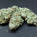 THREE KINGS OG (PLATINUM INDOOR )