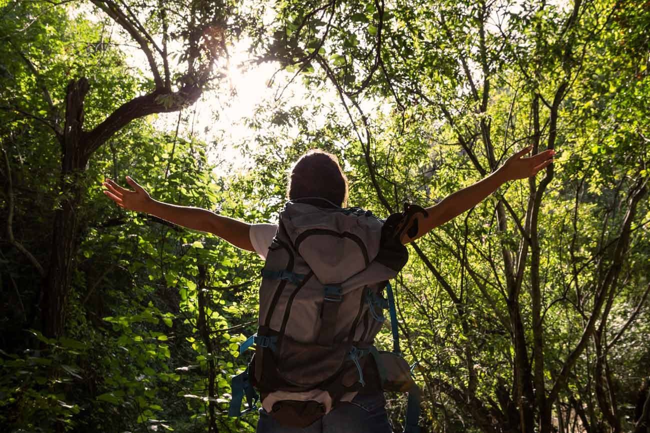 Connect with Nature: Discovering Cannabis-Friendly Reserves in Los Angeles