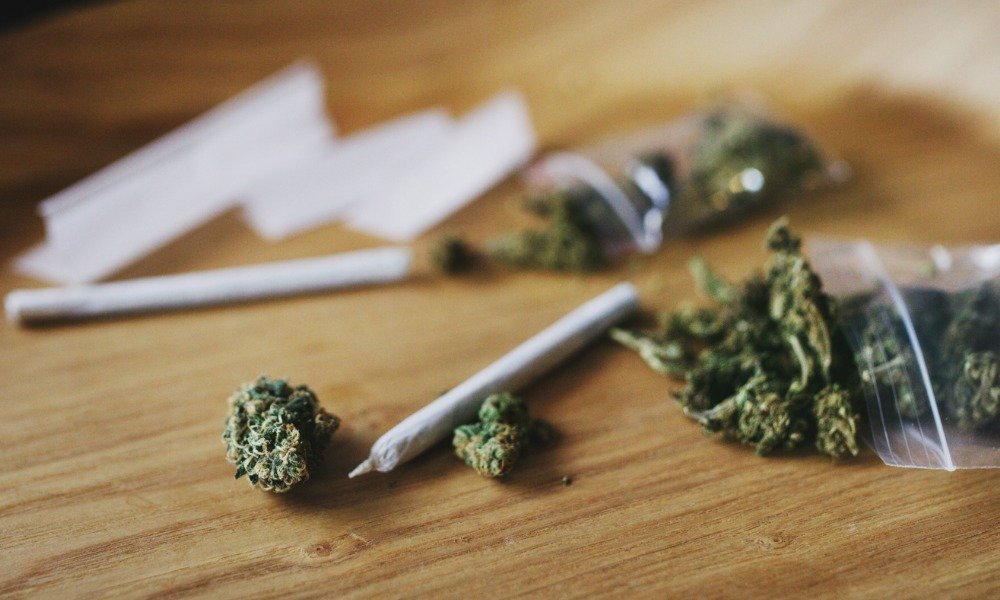 Discover the Best Cannabis Strains to Enjoy with ABC’s Long Beach Weed Delivery for Every Season