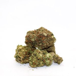 Jack Herer