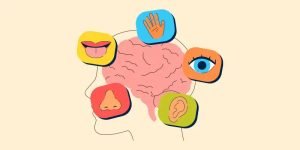 Enhancing Sensory Perception