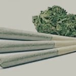 PREROLL CONE 1.3G - GELATO 27.5% THC (H) $5.98