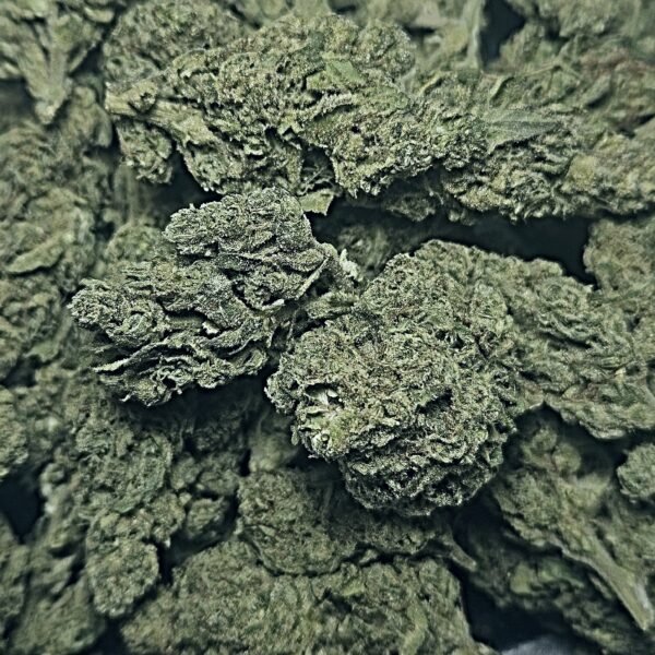 WHITE RUNTZ 31.4% THC INDICA  3.5G $17.98 - 7G $34.98 - 14G $64.98 - 28G $119.98