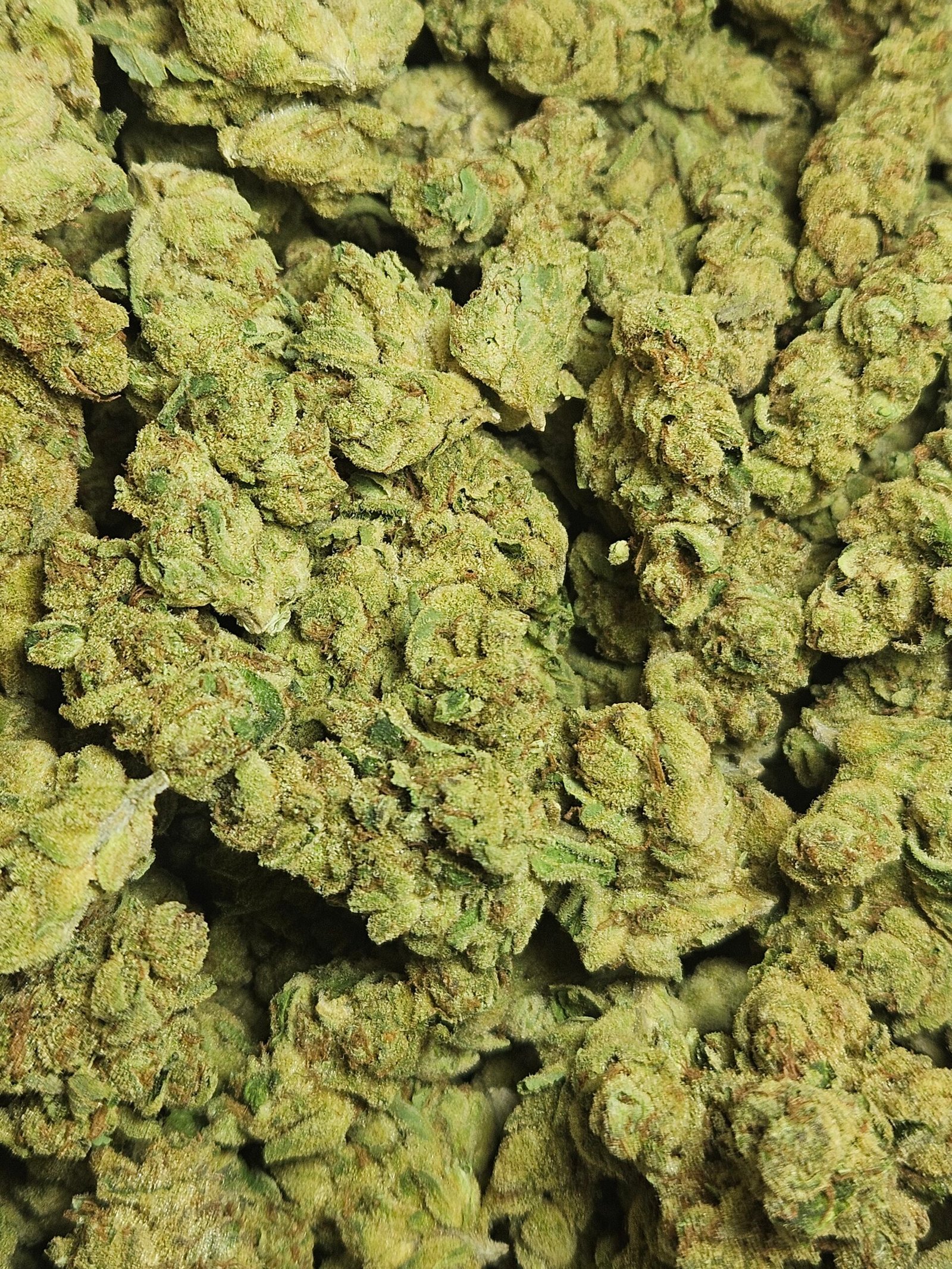 BLUE DREAM 30.1% THC SATIVA 3.5G $19.98