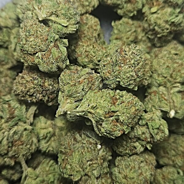 APPLE FRITTER GUSHERS 31.8% HYBRID