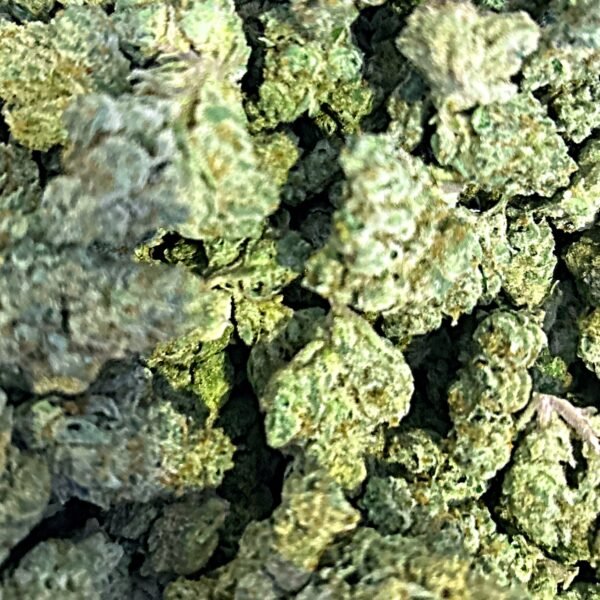 Jaws Gear Genetics gave us Alien Cookies by crossing GSC with Aliendawg. It is said to have pungent earthy and vanilla flavors coming from dark colored buds that are drenched in trichomes. It is hard to find, so if you get your hands on Alien Cookies, make sure to savor every moment.