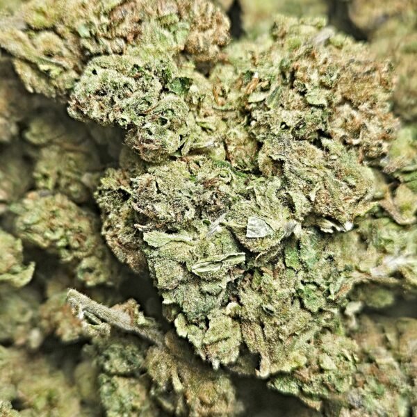 EMERALD RUNTZ  EXOTICHYBRID 32.2% THC 3.5G - $24.98 - 7G $49.98 - 14G 89.98 - 28g $159.98