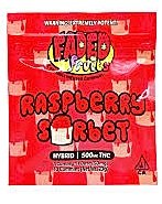 Faded Fruits Raspberry Sorbet Gummies 1000MG