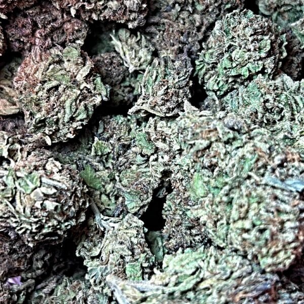 PINNACLE OG HYBRID SATIVA