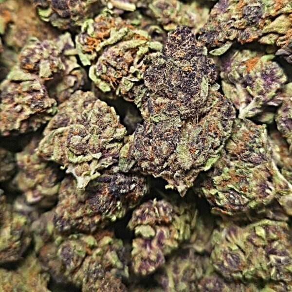 PURPLE DIESEL 33.4% SATIVA - 3.5G $24.98 - 7G $ 44.98 - 14G $74.98 - 28G $139.98