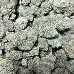 CHEM DAWG (SATIVA)