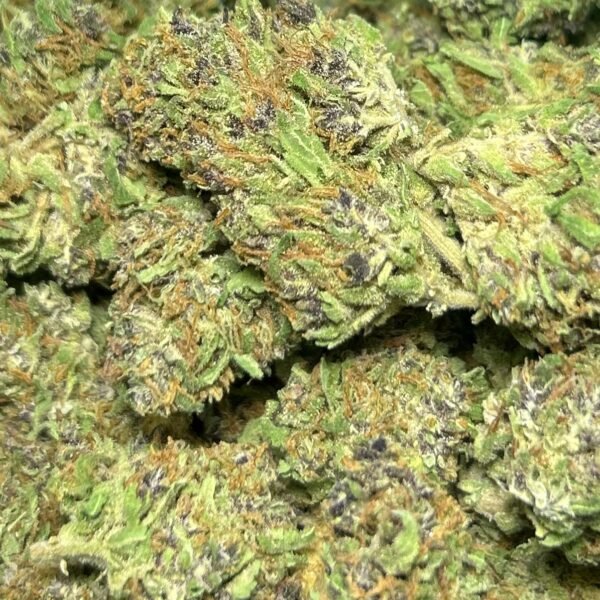Granddaddy Purple 