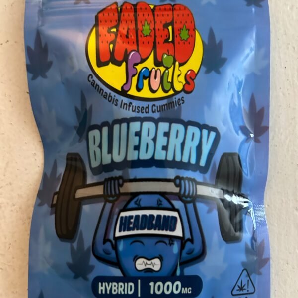 BLUEBERRY HEADBAND HYBRID GUMMY SQUARES 1000mg - Faded Fruits (