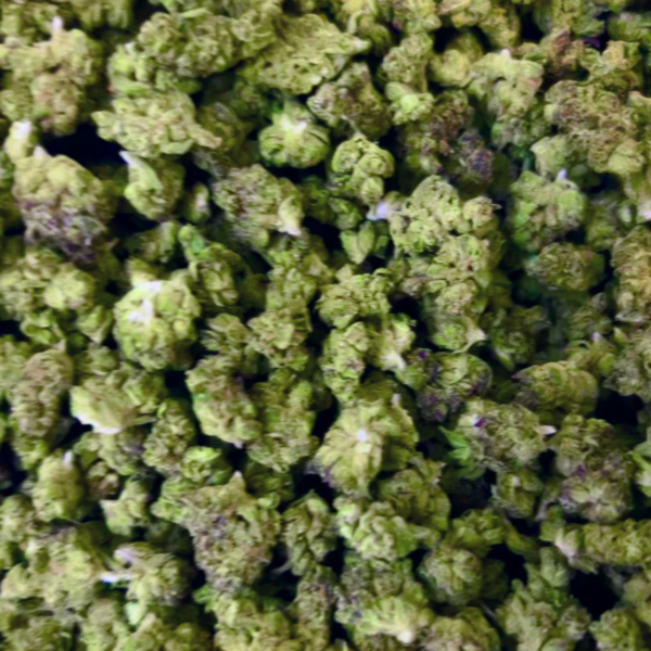 FIRE OG INDOOR SMALLS 31.1% THC 3.5G $19.98 - 7G $34.98 - 14G $54.98 - 28G $89.98